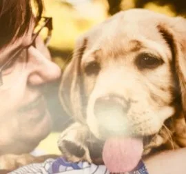 Training school for guiding and assisting dogs.