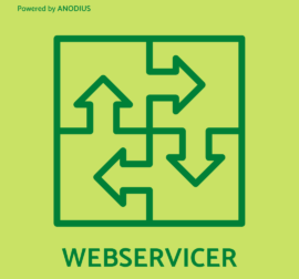 webservicer-and-app-integration-andoius-salesforce